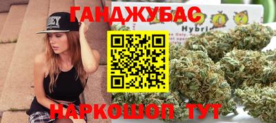 сатива Можга