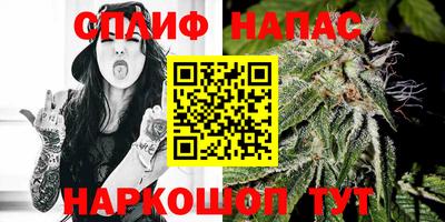 сатива Можга