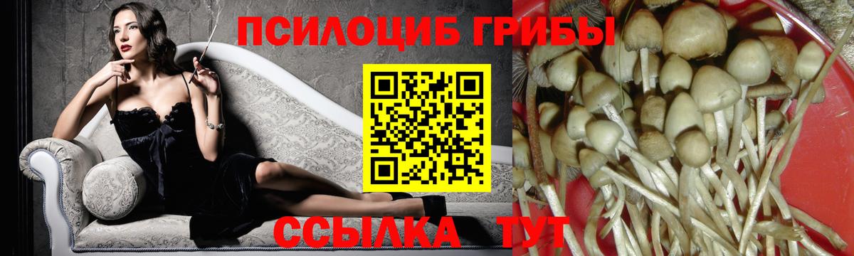 Нарьян-Мар  Галлюциногенные грибы ЛСД  Вход с VPN 